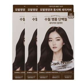 수월 명품 단백질 새치커버 염색약 6S 3개