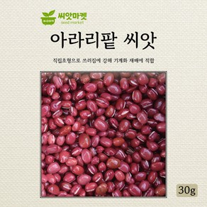 다농 아라리팥 씨앗 30g, 1개