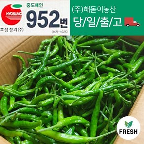 <해돋이농산> 국내산 꽈리고추 4kg