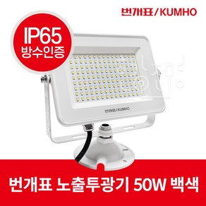 번개표 LED 투광기 투광등 50W 간판 간판등 조명, 1개