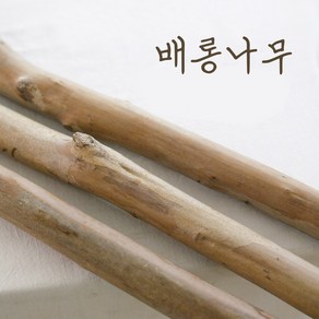 천연 배롱나무 나뭇가지, 120cm, 2~2.5cm