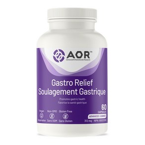 AOR 가스트로릴리프 60캡슐 고약사 매스틱검 알긴산 Gasto Relief, 기본옵션, 1개, 60정