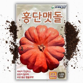 과육이 단단 홍단 맷돌 호박 씨앗 (10립), 1개