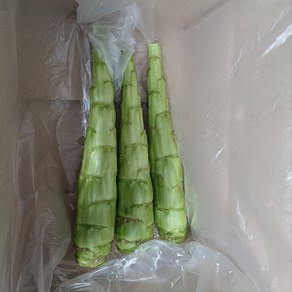 [바른농장] GAP 인증 생궁채 특산품 산지직송 봄나물 국내산 국산 1+1 행사, 1kg, 2박스