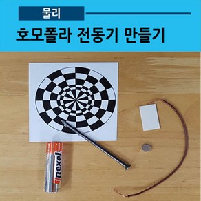 호모폴라 전동기(10인용.착시현상)