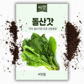 돌산갓 씨앗 (10g) 토종 씨앗