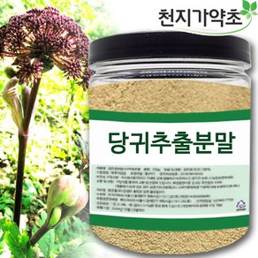 천지가약초 국산 참당귀추출분말 100g 당귀추출물 참당귀추출물 당귀분말 참당귀분말 당귀추출분말