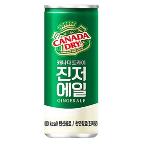 캐나다드라이 진저에일 250ml 30캔, 30개