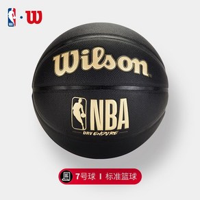 이윤 윌슨 WILSON NBA 프로 농구공 7호 6호 실내 스포츠 농구볼