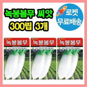 녹봉 봄무 씨앗 (합 900립) 김장무 종자, 3개