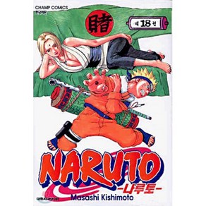 NARUTO 나루토 18