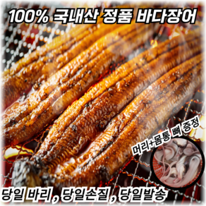 당일조업 통영 자연산 손질 바다 장어 다양한 kg 산지직송 배송 특대 머리뼈+몸통뼈 소스2증정, 1세트, 3kg (3미~9미)