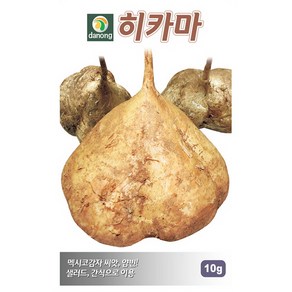 (씨앗) 히카마 - 멕시코감자 - 얌빈 - 히카마 씨앗 - 10g, 1개