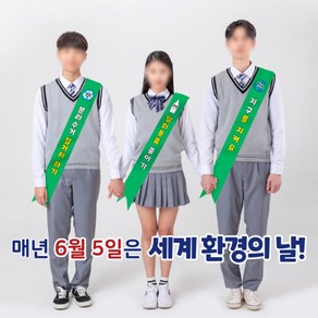 빅애플 티처몰ONLY 환경의날 환경 보호 캠페인 어깨띠 1103809, 단품