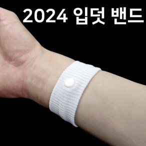 2024 입덧밴드 멀미 입덧 지압 팔찌 임신 축하 산모 선물, 1개