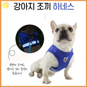 반려견 리드줄 가슴줄 하네스 강아지 몸줄 고양이 산책 애견 조끼 앞섬방지 추천 개 애견 휴식 반려 관리 팻 용품 제품 셀프 펫 전용 다목적 가성비 다용도 실용, 레드, 1개