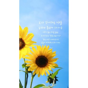 란이네 diy 보석십자수 성경말씀 전체수(주문제작) SR220831174, A타입, 40*70cm, 원형비즈, 1개