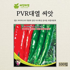 세계종묘 PVR 대열 청양고추 씨앗 100립, 1개