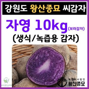 왕산종묘 자색 씨감자 [ 자영 10kg ] 생식용 감자 녹즙용 감자 보라색 감자 감자씨앗 햇감자 정품씨감자 대서 두백 홍영 자영 백작 왕산 수미 씨감자 강원도 씨감자, 자영 10kg ( 생식용 / 녹즙용 감자 ), 1개