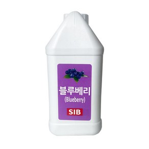 블루베리 레진 1kg 식용색소 식품첨가물 색소 베이킹재료 홈베이킹, 1개