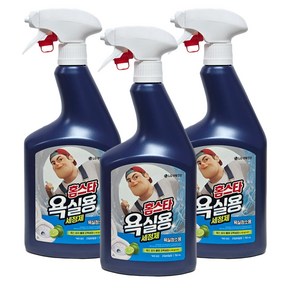 홈스타 욕실용 세정제 750ml, 3개