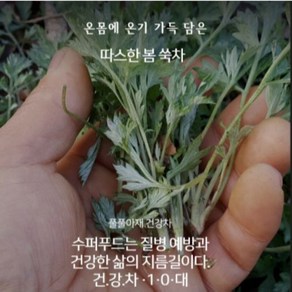 참쑥차 여성에게 딱 좋은 수재 전통 덖음차 45g, 1개, 1개입