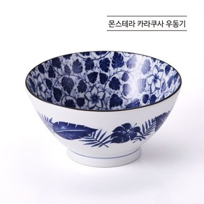 리빙아트 일본 도자기 백화점 입점 브랜드 키코우 면기 1+1 2p, 2개, 몬스테라 카라쿠사