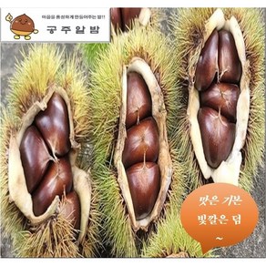 24년 공주밤 햇밤 알밤 생율 군밤 (특/대)사이즈 2kg ~ 8kg, 제수용(특) 2kg, 90개