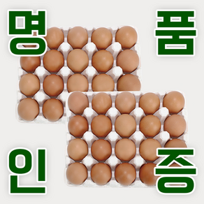 KB fam 계란 명품인증 무항생제 달걀 특란 40구, 1개