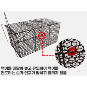 고양이덫 포획틀 포획망 안전 구조용 TNR 중형 대형 통덫, 1개