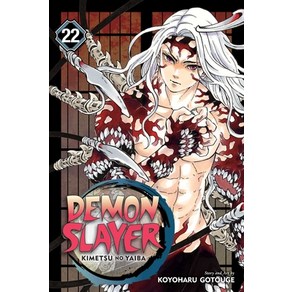 Demon Slaye: Kimetsu No Yaiba Vol. 22 Papeback, Viz Media, English, 9781974723416