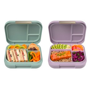 벤트고 런치박스 모던 4칸 도시락 미국 도시락통 Bentgo Moden Lunchbox, 그린, 1개