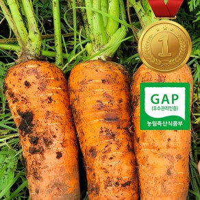[달콤아삭] 제주구좌 최고급 국내산 흙당근, 1박스, 제주당근 (특) 3kg