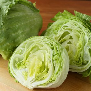 아삭아삭 신선한 국내산 양상추, 500g, 6개