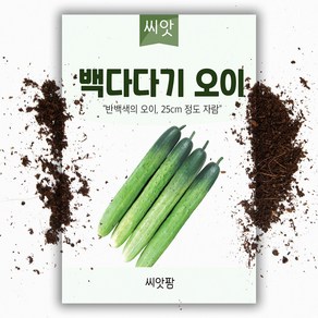 백다다기 오이 씨앗(10립) 오이씨앗, 본상품선택, 1개