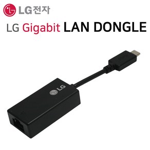 LG전자 노트북 전용 USB C타입 to LAN 젠더 케이블 기가비트 블랙, 1개