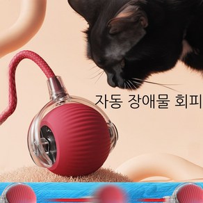 윈티크 고양이 꼬리잡기 스마트볼 공놀이 장난감, 1개, 레드