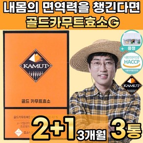 [본사정품][카뮤트]골드 카무트효소 [분말] 가루x1 스틱 천연 정품 [기획] 카뮤트X1 카무트 [식약청인증], 90g, 3박스