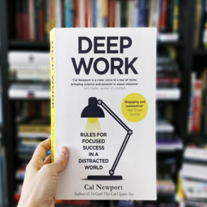 Deep Wok:Rules fo Focused Success in a Distacted Wold, Gand Cental Publishing