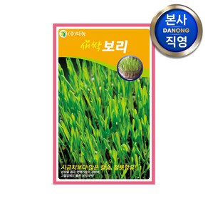 새싹 보리 씨앗 1kg . 무소독 채소 수경 재배 씨 종자, 1개