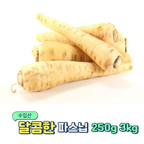 싱싱한 수입산 파스닙 250g 3kg, 1세트