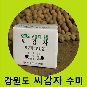 씨감자 정품 수미 10kg 보급형 /수미감자/수미씨감자/ 강원도감자/보급종, 1개