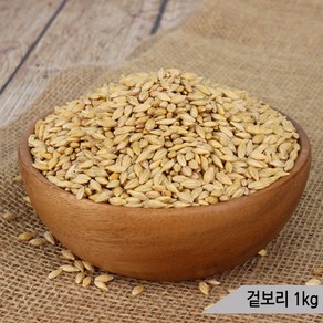 건강알곡 겉보리 1kg 앵무새 햄스터 모이 간식 사료, 1개