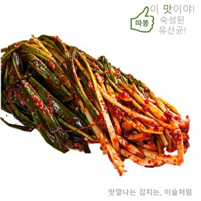 이슬처럼 맛있다! 수입산 파김치 5kg 중국산 파김치 5kg (옵션A:일반파김치)