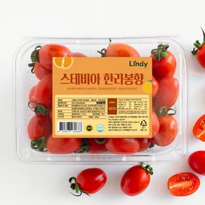 린디 고당도 스테비아 대추방울토마토 망고향 한라봉향 혼합 완숙 흑 1KG 2KG, 1박스, 고당도 스테비아 토마토=대추방울 한라봉향, 중량=1kg