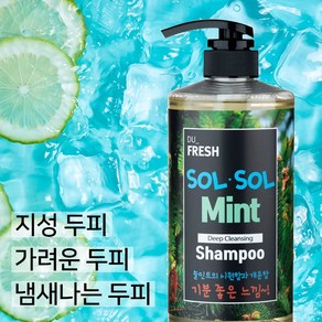 솔솔민트 딥클렌징 지성용 두피샴푸, 750ml, 1개