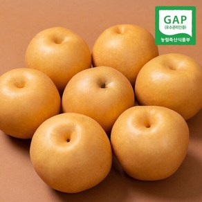 [농부들의수확]GAP인증 24년 나주 햇배 가정용 특품 5kg 5-7과, 1개