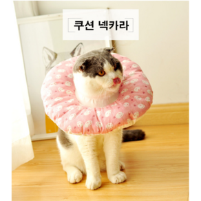 [켈리] 고양이 강아지 중성화수술 상처보호 쿠션넥카라