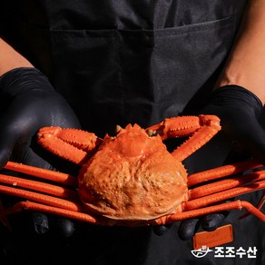 [조조수산]울진 후포리 박달홍게 찜 산지직송 자숙홍게 3kg, 박달홍게 2.5kg (4~6마리/자숙/500g), 1개