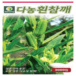 흰참깨3000립, 1개